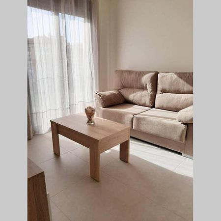 New Apartment In The Center-Terrace & Free Parking Málaga Exteriör bild